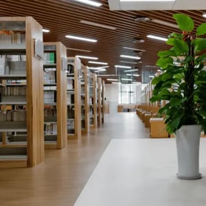 Public University